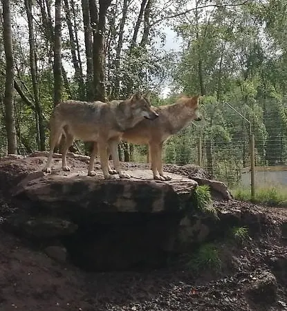 شقة Roneragh Paul's Place The Only Penthouse Fahan