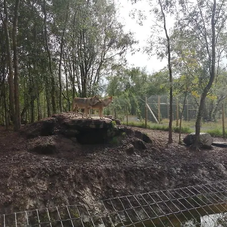 Roneragh Paul's Place The Only Penthouse Fahan