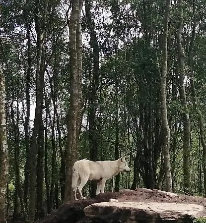 شقة Roneragh Paul's Place The Only Penthouse