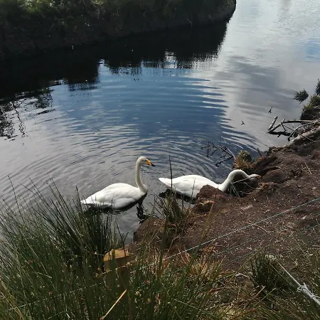 Roneragh Paul's Place The Only Penthouse شقة *