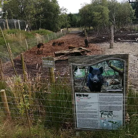 Roneragh Paul's Place The Only Penthouse Fahan