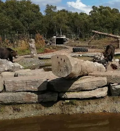 Roneragh Paul's Place The Only Penthouse Apartament *