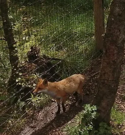 شقة Roneragh Paul's Place The Only Penthouse Fahan