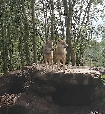 شقة Roneragh Paul's Place The Only Penthouse