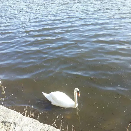 Roneragh Paul's Place The Only Penthouse Apartament