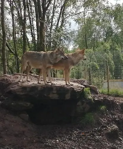 Apartment Roneragh Paul's Place The Only Penthouse Fahan