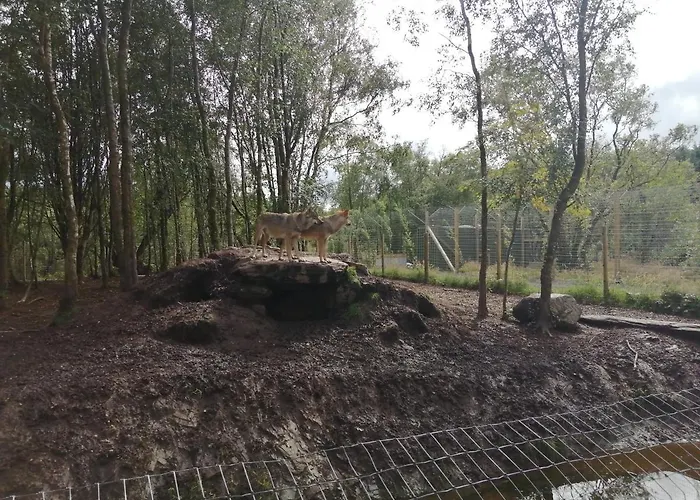 Roneragh Paul's Place The Only Penthouse Fahan