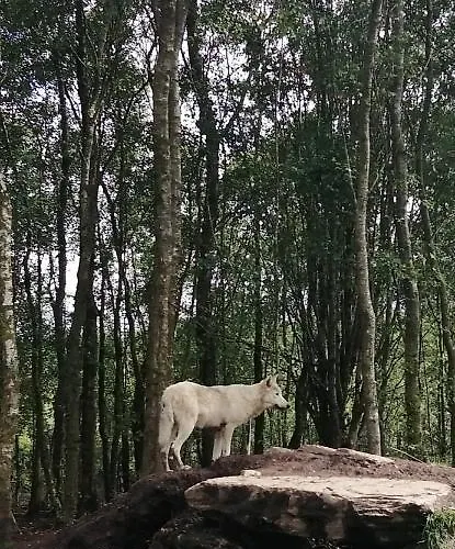 Apartment Roneragh Paul's Place The Only Penthouse