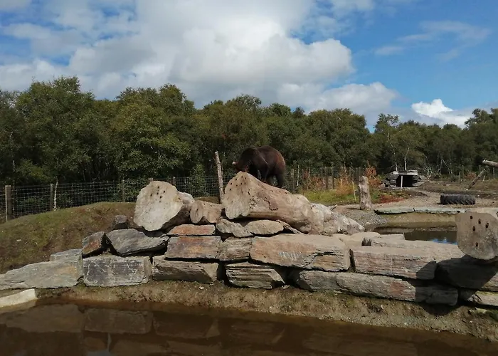 Roneragh Paul's Place The Only Penthouse