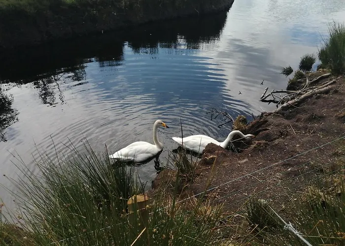 Roneragh Paul's Place The Only Penthouse Apartment *