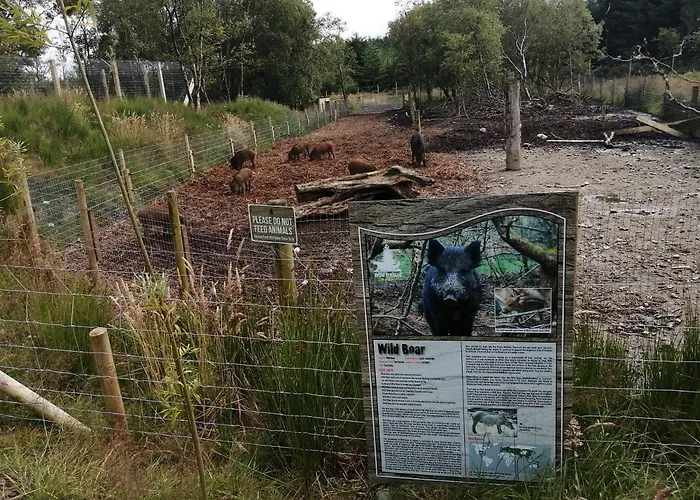 Roneragh Paul's Place The Only Penthouse Fahan