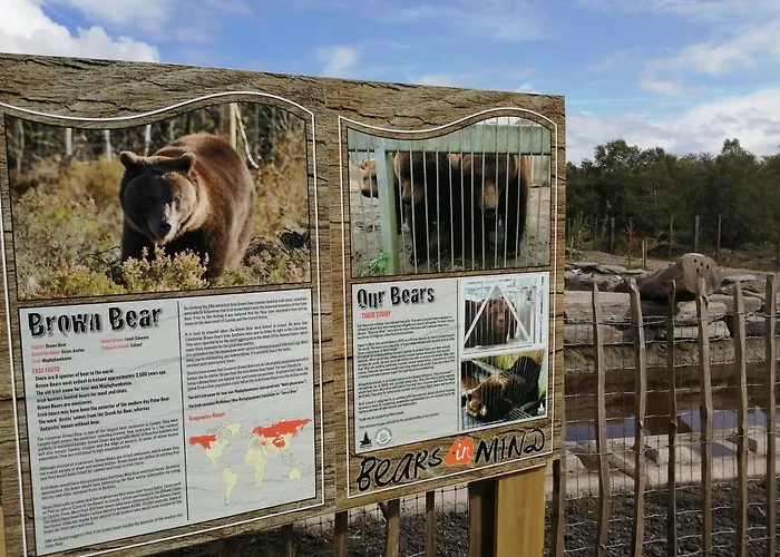 Roneragh Paul's Place The Only Penthouse Fahan