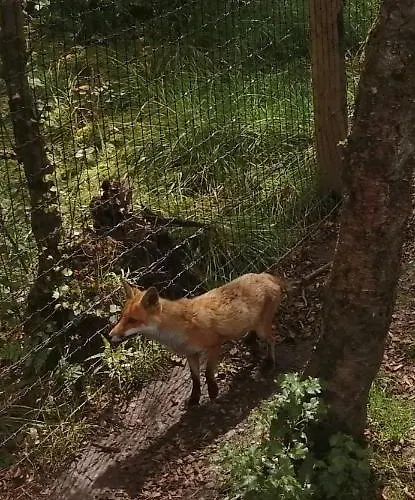 Apartment Roneragh Paul's Place The Only Penthouse Fahan