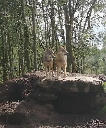 Apartment Roneragh Paul's Place The Only Penthouse